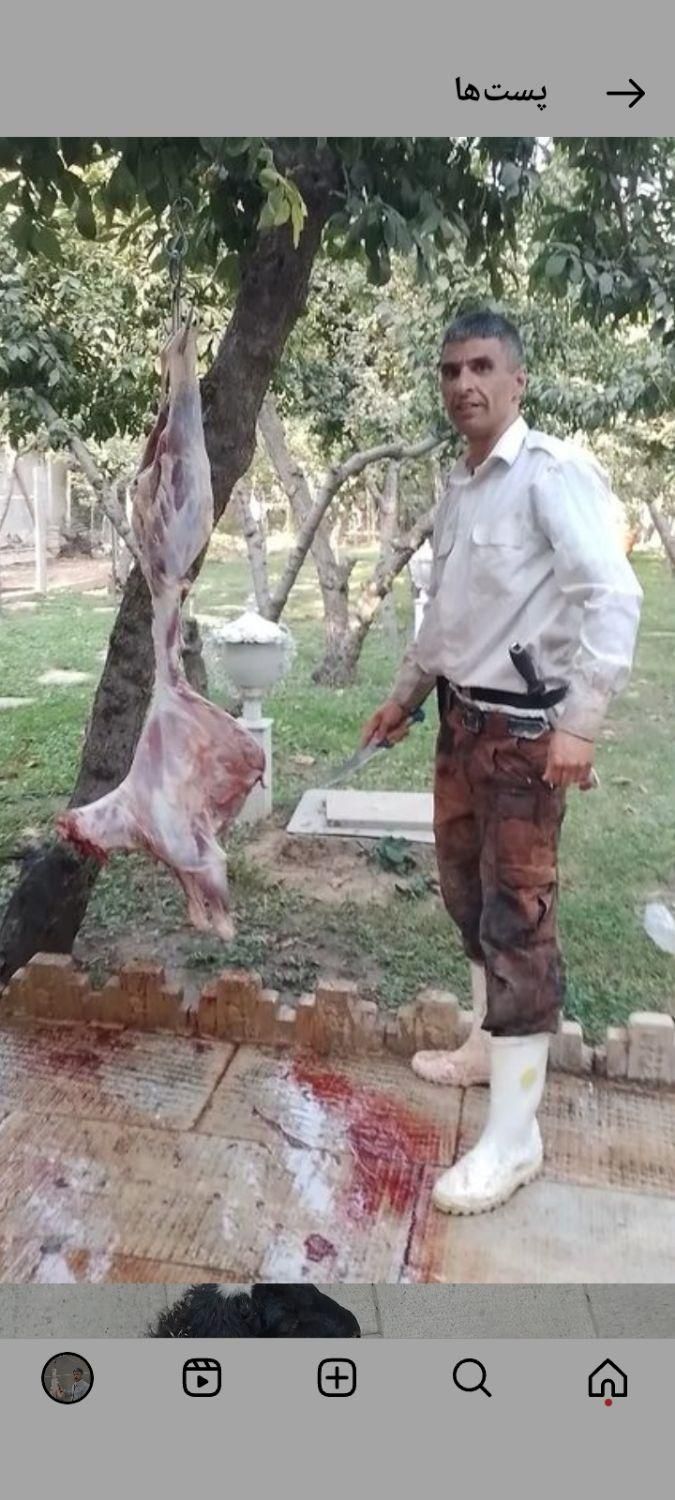 قصاب سیار کشتار دام گوساله وگوسفند درمحل شما|خدمات پذیرایی، مراسم|هشتگرد, |دیوار