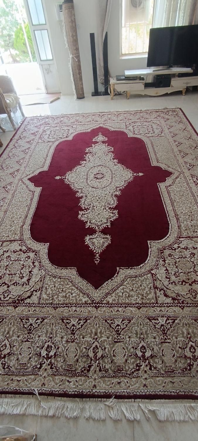 فرش دست دوم|فرش|شیراز, دوکوهک|دیوار