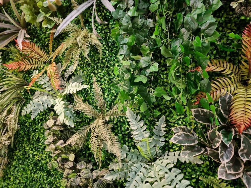 جنگلی گرین وال سرخس دیوار سبز شمال استوایی برفی|گل مصنوعی|فردیس, فردیس|دیوار