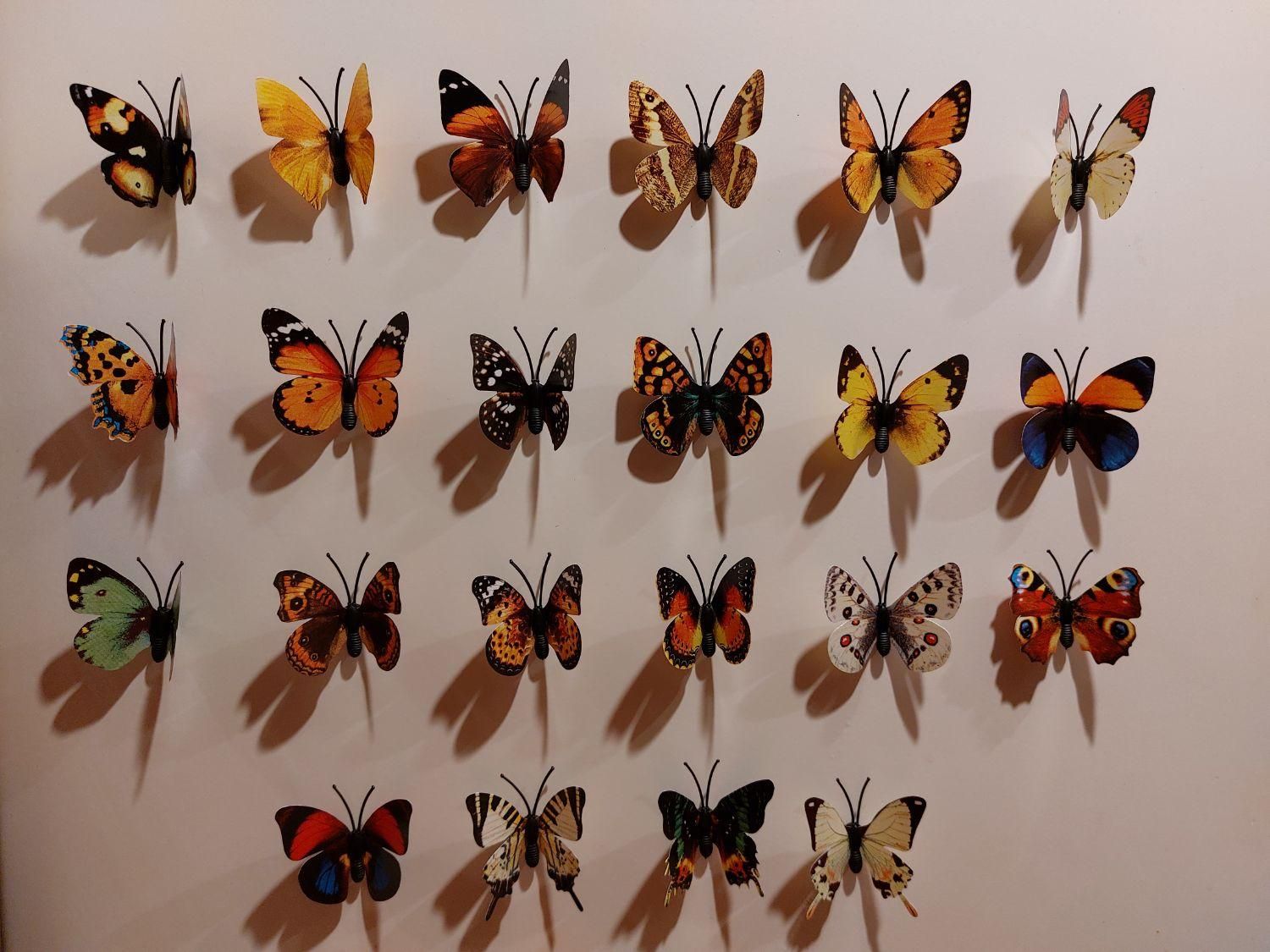 پروانه تزیینی آهن ربایی قابل شستشو با ارسال|صنایع دستی و سایر لوازم تزئینی|تهران, مجیدیه|دیوار