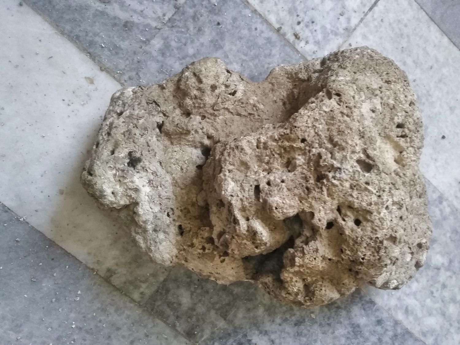 صخره مرجانی تصفیه شده مرده و نمک ابشور|ماهی|پردیس, فاز ۴|دیوار