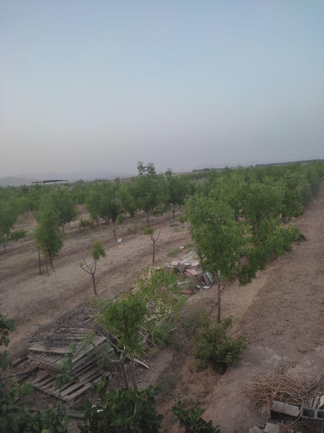 تصویر 3