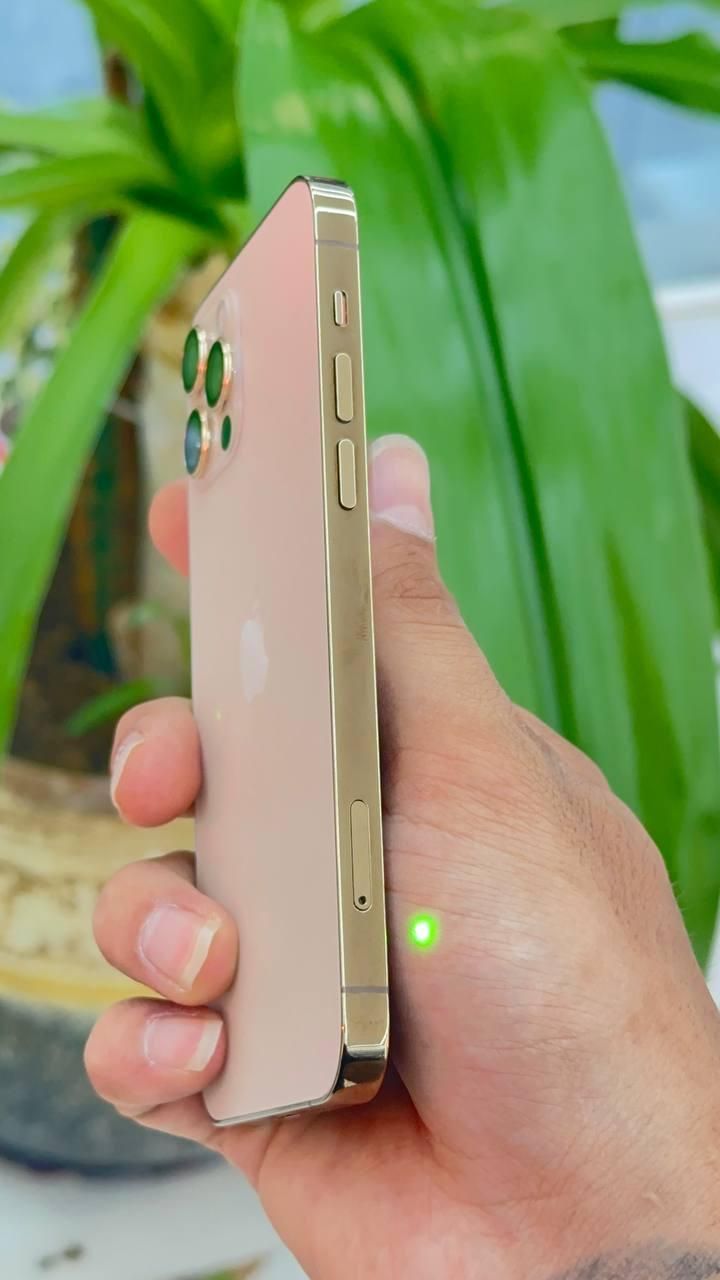 اپل iPhone 12 Pro با حافظهٔ ۲۵۶ گیگابایت|موبایل|اراک, |دیوار