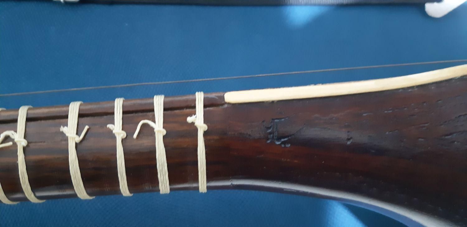 سه تار (حرفه ای)|سازهای سنتی|شیراز, باغ تخت|دیوار