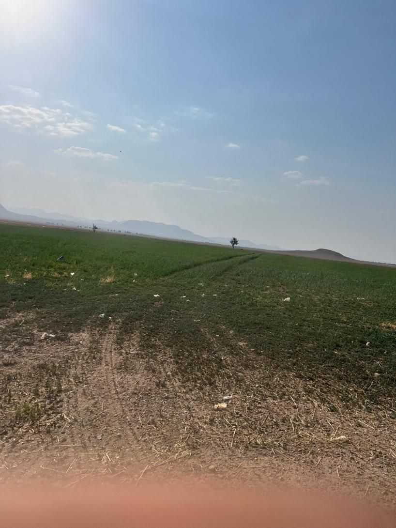 200جریب چاه گلخانه گاوداری باپروانه مرغداری کارخان|فروش دفتر صنعتی، کشاورزی، تجاری|میمه, |دیوار