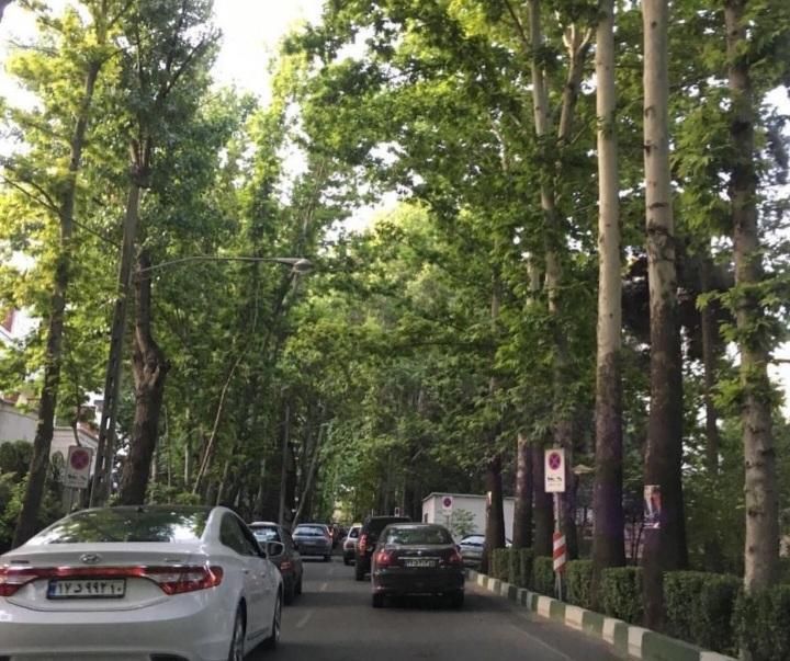 ۲۶۵ متر کلنگی بر ۱۰ (شادمان )|فروش زمین و ملک کلنگی|تهران, شادمان|دیوار