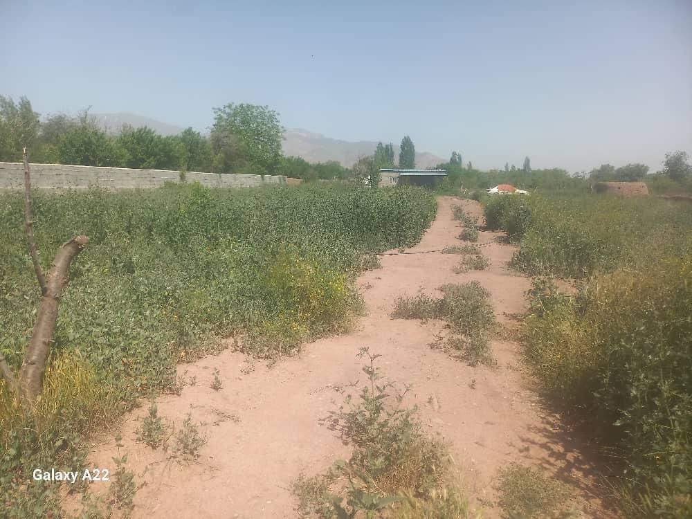 باغ در تسوج|فروش زمین و ملک کلنگی|تسوج, |دیوار