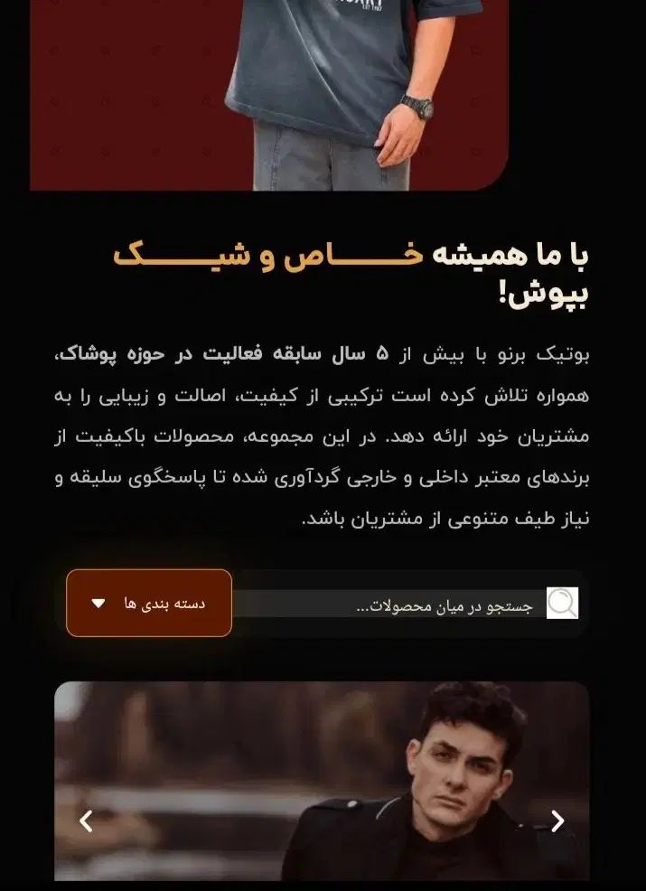 طراحی حرفه‌ای وبسایت شخصی، فروشگاهی و پزشکی|خدمات رایانه‌ای و موبایل|رشت, توشیبا|دیوار