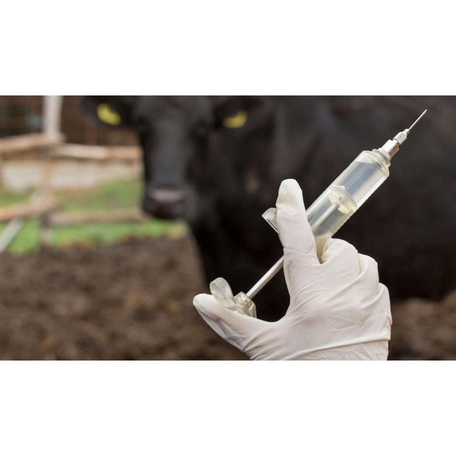 کارگاه آموزشی تزریقات دام - گاو و گوسفند و بز-پت|خدمات آموزشی|تهران, بلوار کشاورز|دیوار