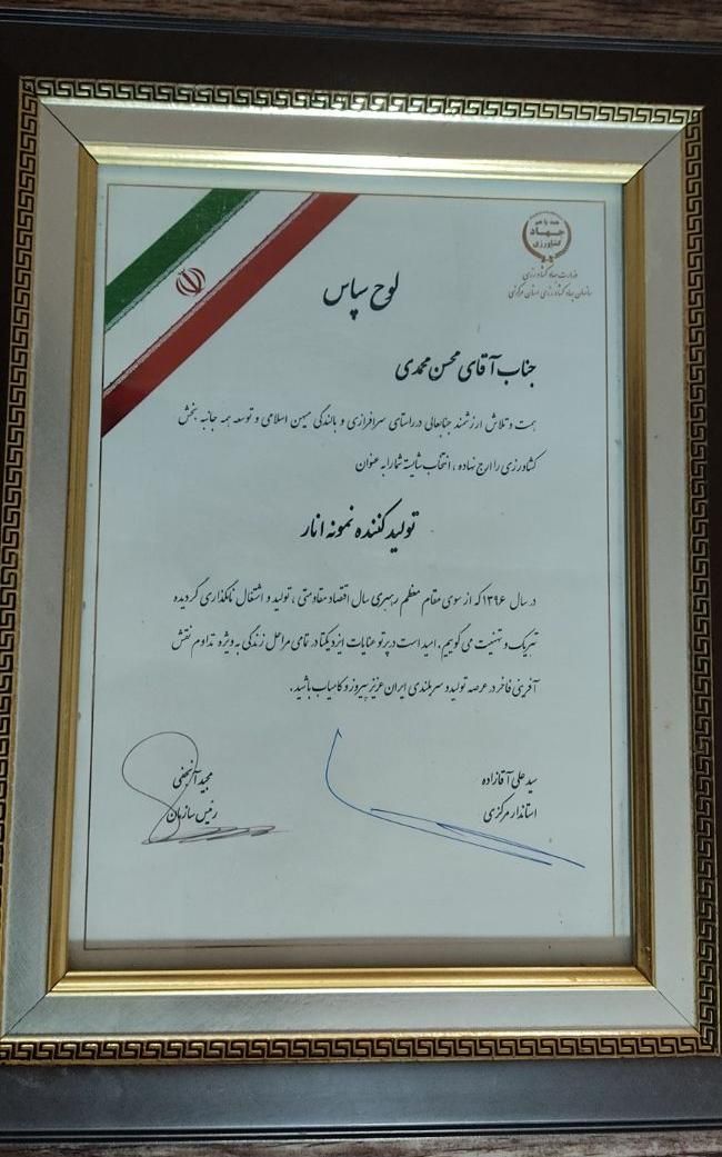 نهال انار|خدمات باغبانی و درختکاری|ساوه, |دیوار