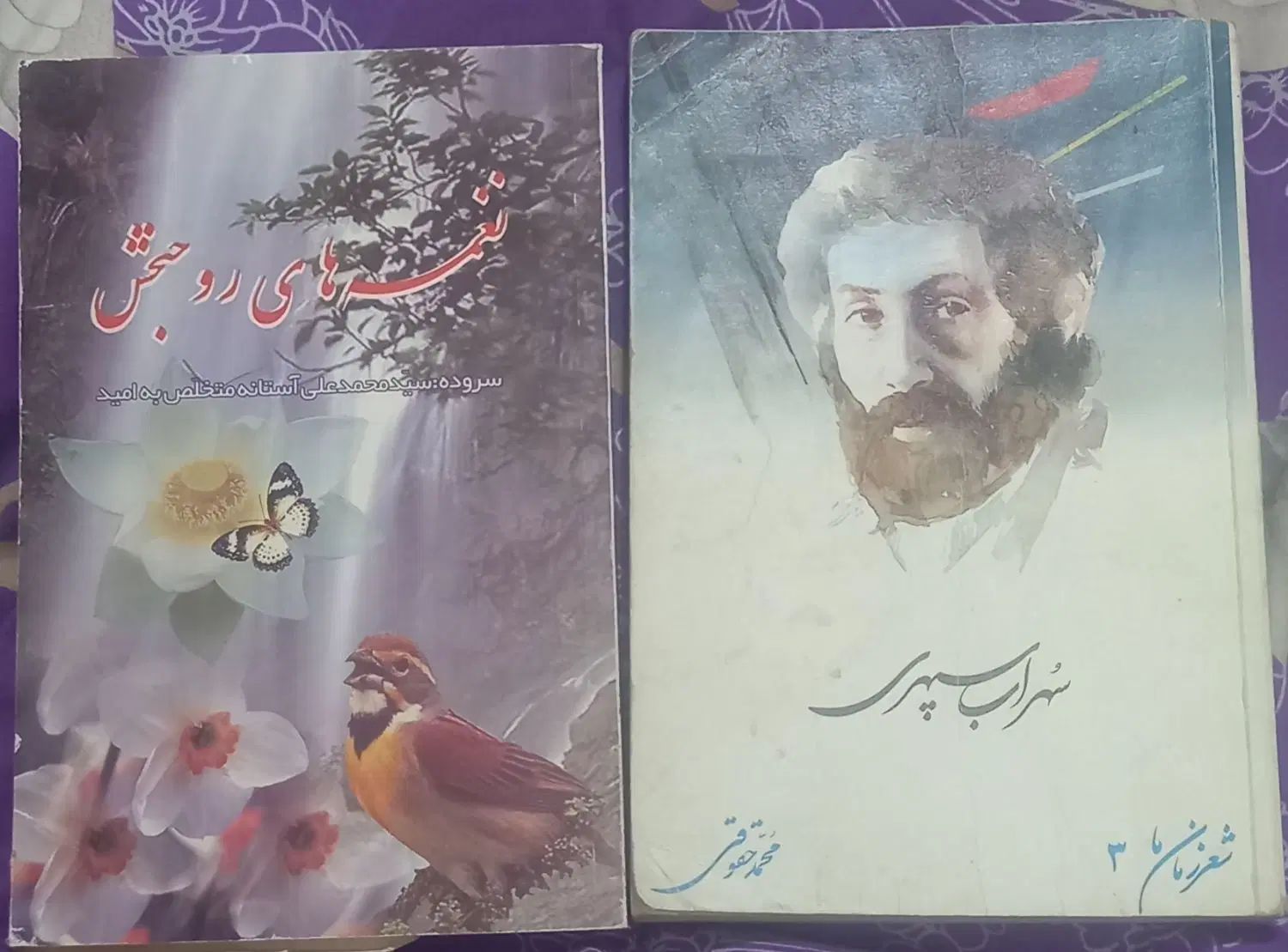 کتاب شعر سهراب سپهری و سید محمدعلی آستانه|کتاب و مجله ادبی|قدس, شهر‌قدس|دیوار