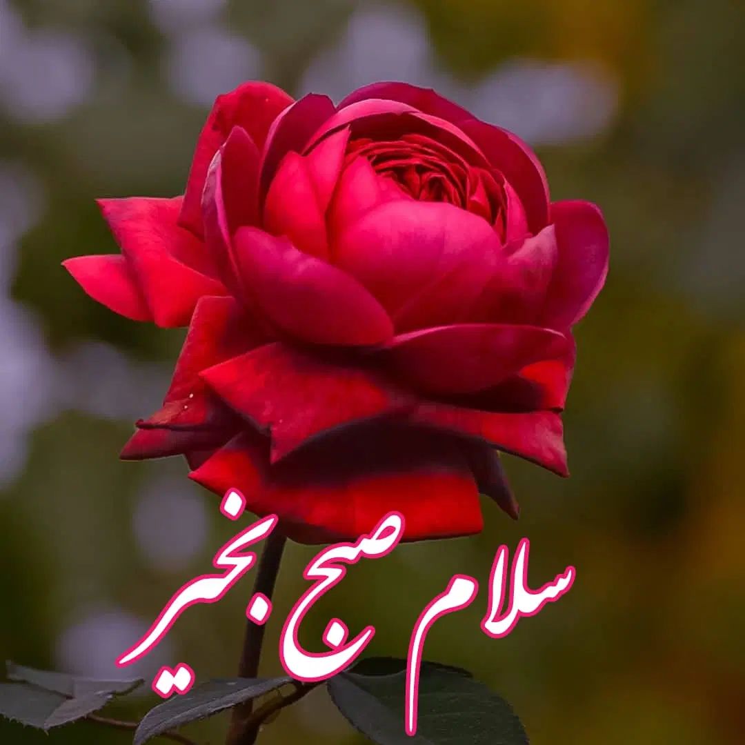 فروش زمین اختیار آباد.۱۴ قصب خیابان نماز|فروش زمین و ملک کلنگی|کرمان, |دیوار