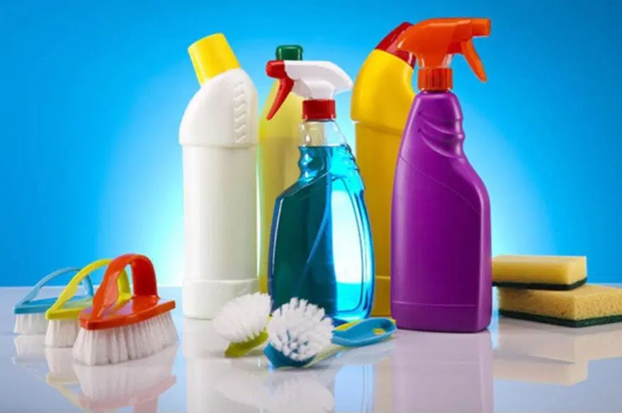 فروش محصولات شوینده بهداشتی زیر قیمت مصرف کننده|مواد شوینده و دستمال کاغذی|کرج, گلشهر|دیوار
