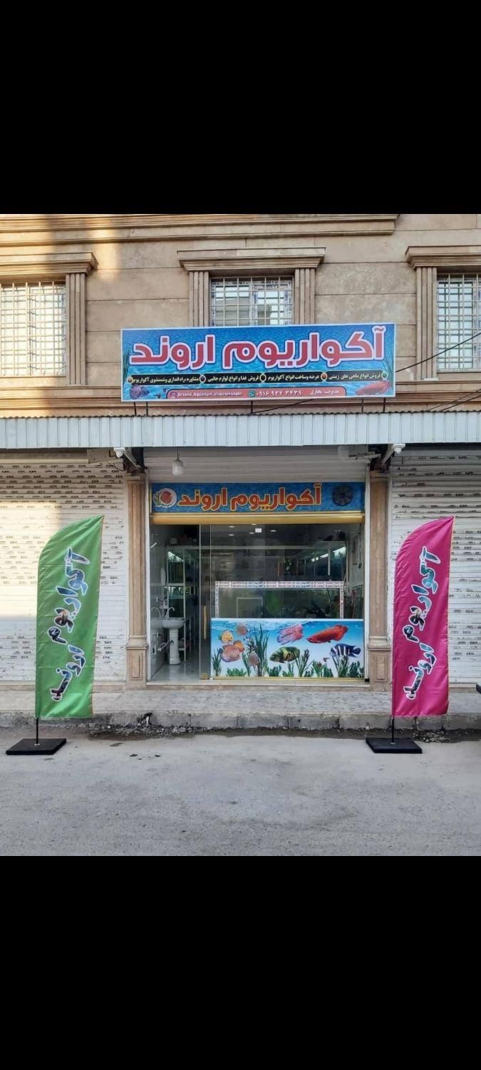آکواریوم اروند|ماهی|خرمشهر, |دیوار