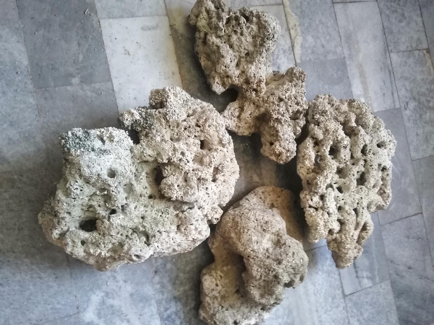 صخره مرجانی تصفیه شده مرده و نمک ابشور|ماهی|پردیس, فاز ۴|دیوار