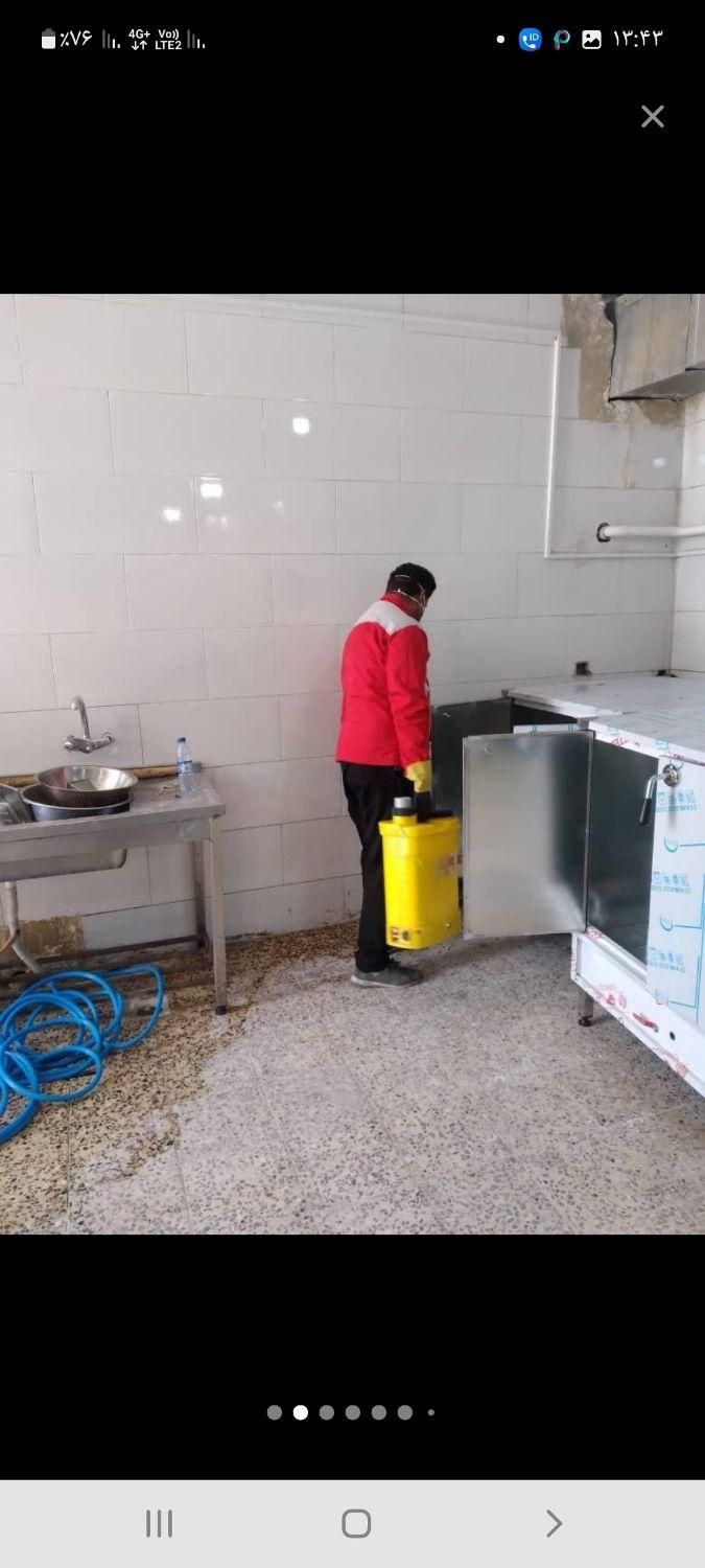 (شرکت سمپاشی منازل)سم پاشی موریانه ساس سوسک موش|خدمات نظافت|اهواز, سپیدار|دیوار