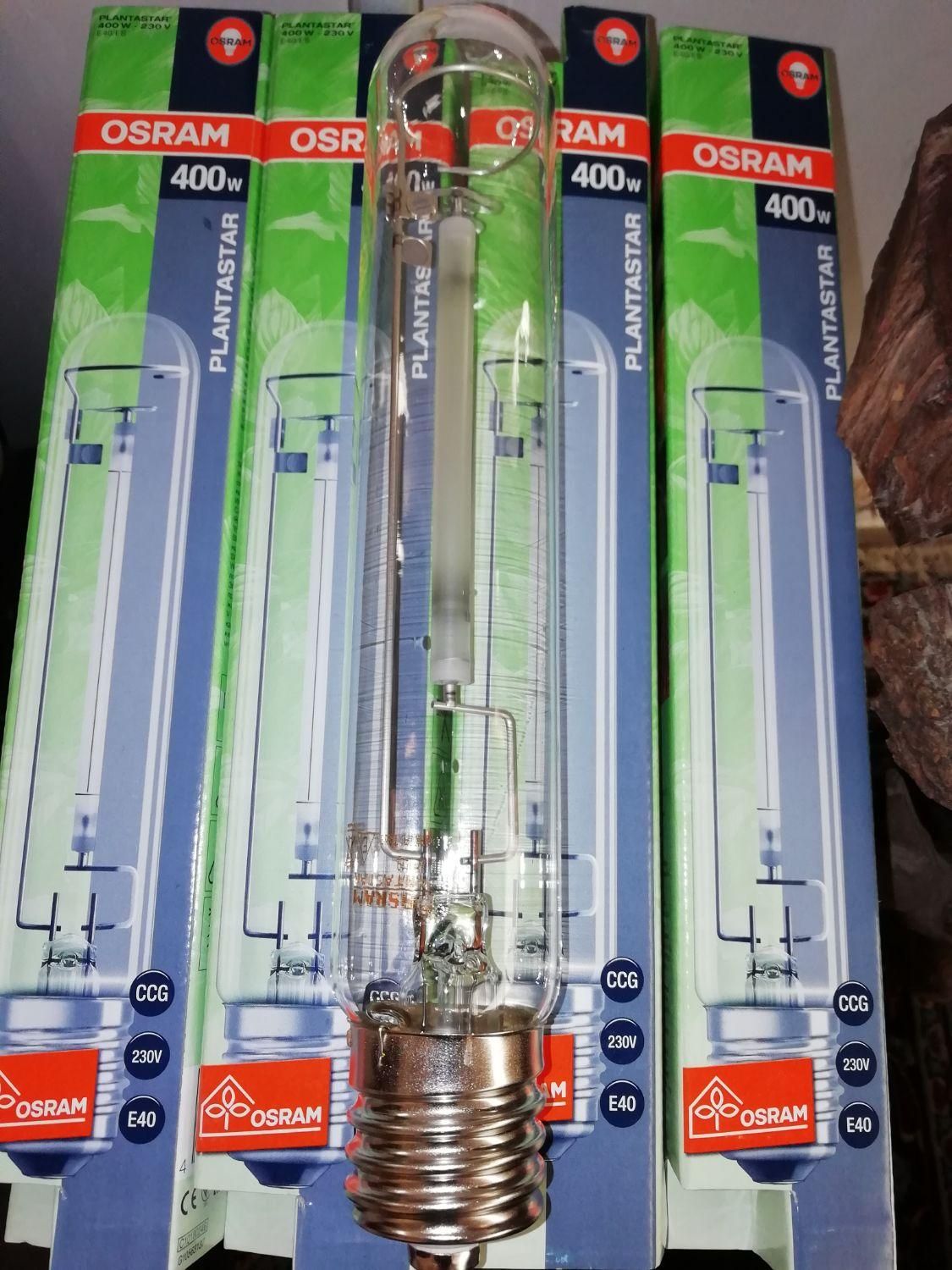 لامپ بخار سدیم  اُسرام اصلی400w(رشدوگل دهی گیاه)|گل و گیاه طبیعی|شیراز, دشت چنار|دیوار