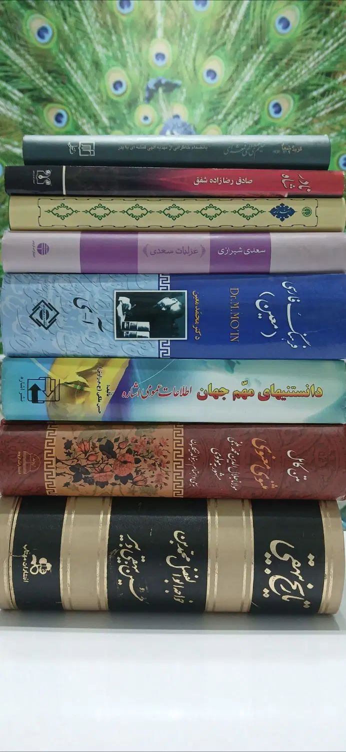 مجموعه کتاب رمان شعر فلسفه و ...|کتاب و مجله ادبی|تهران, فلسطین (میدان انقلاب)|دیوار