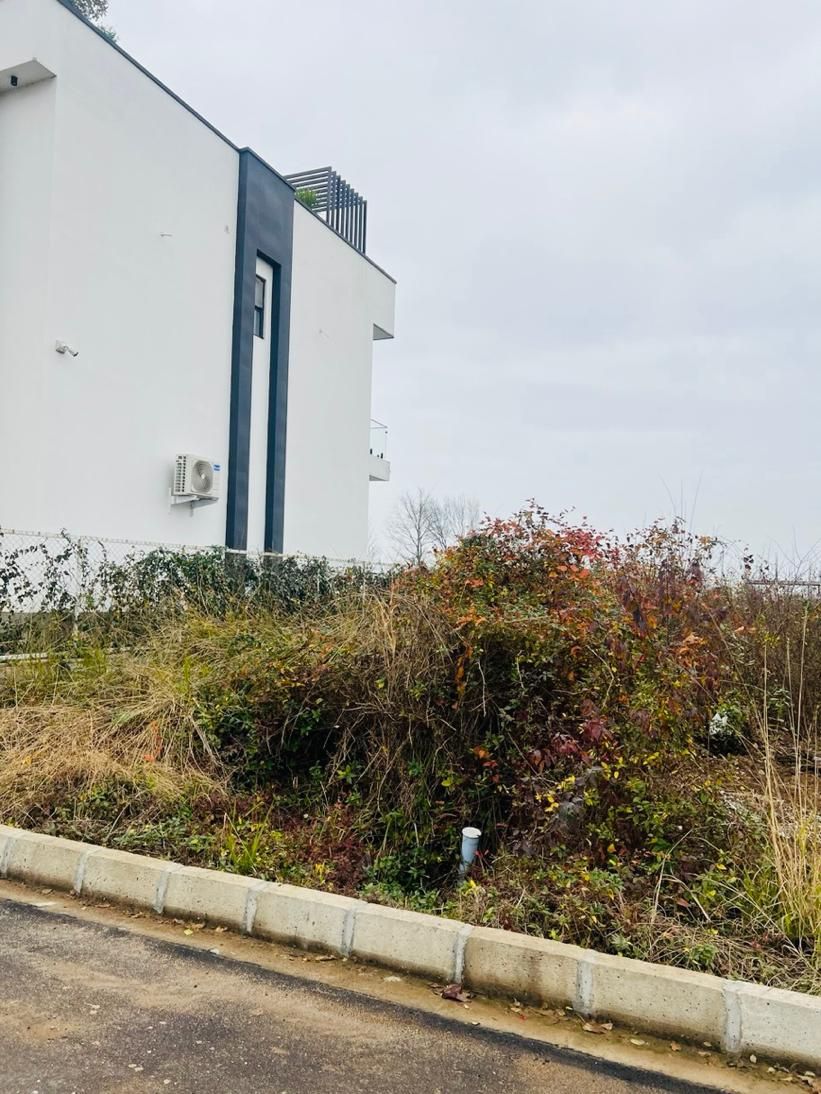 ۴۸۰ متر زمین شهرکی، سنددار،مسکونی، نشتارود،تنکابن|فروش زمین و ملک کلنگی|نشتارود, |دیوار