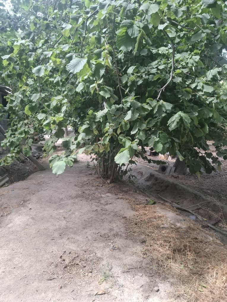 باغ 200متری دارای برق دراسکو|فروش زمین و ملک کلنگی|اسکو, |دیوار