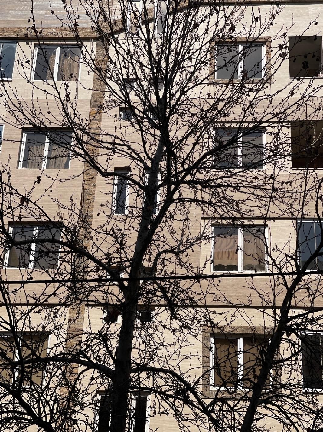 آپارتمان مبله ۷۰ متر ۱ خوابه|اجارهٔ کوتاه‌مدت آپارتمان و سوئیت|تهران, تهرانپارس غربی|دیوار