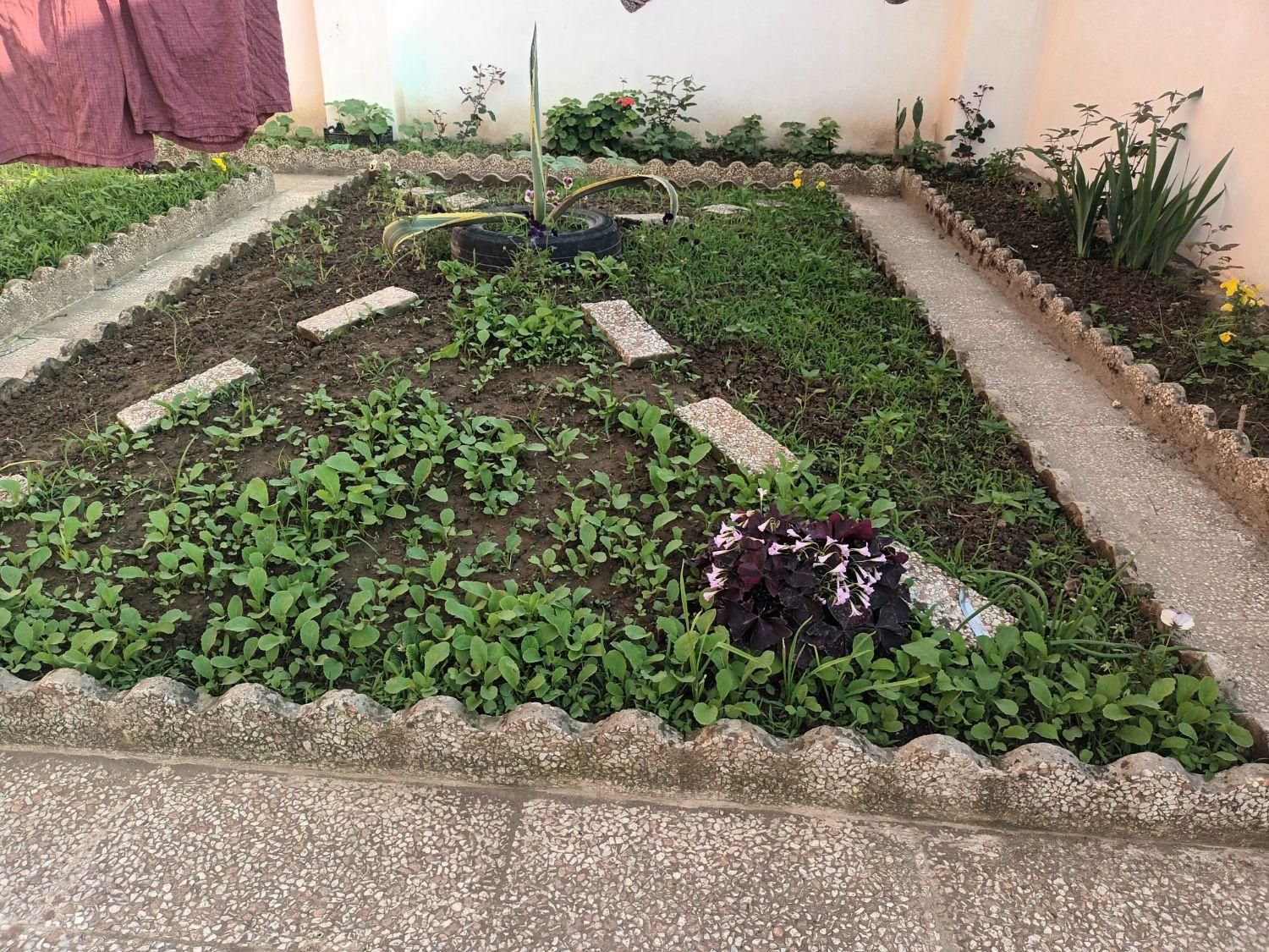 ساختمان اجاره ای نوساز جنگلی|اجارهٔ آپارتمان|نور, |دیوار