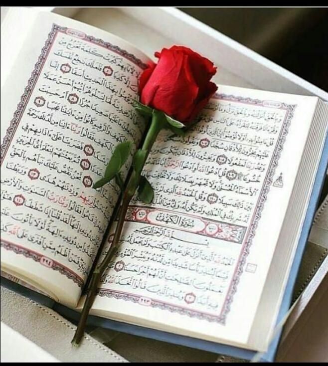 چند عدد کتاب برای دعانویسی کتاب قدیمی|کتاب و مجله تاریخی|اردبیل, |دیوار