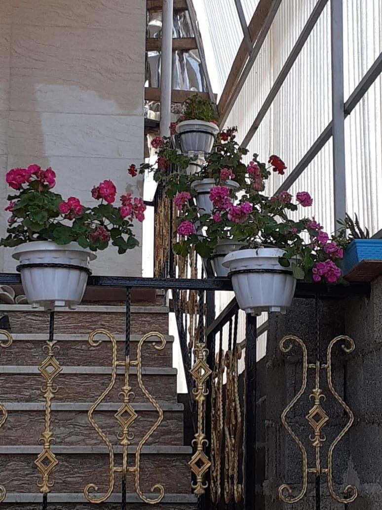 اجاره ویلای دوخوابه دربست نوساز تمیز|اجارهٔ کوتاهمدت ویلا و باغ|فومن, |دیوار