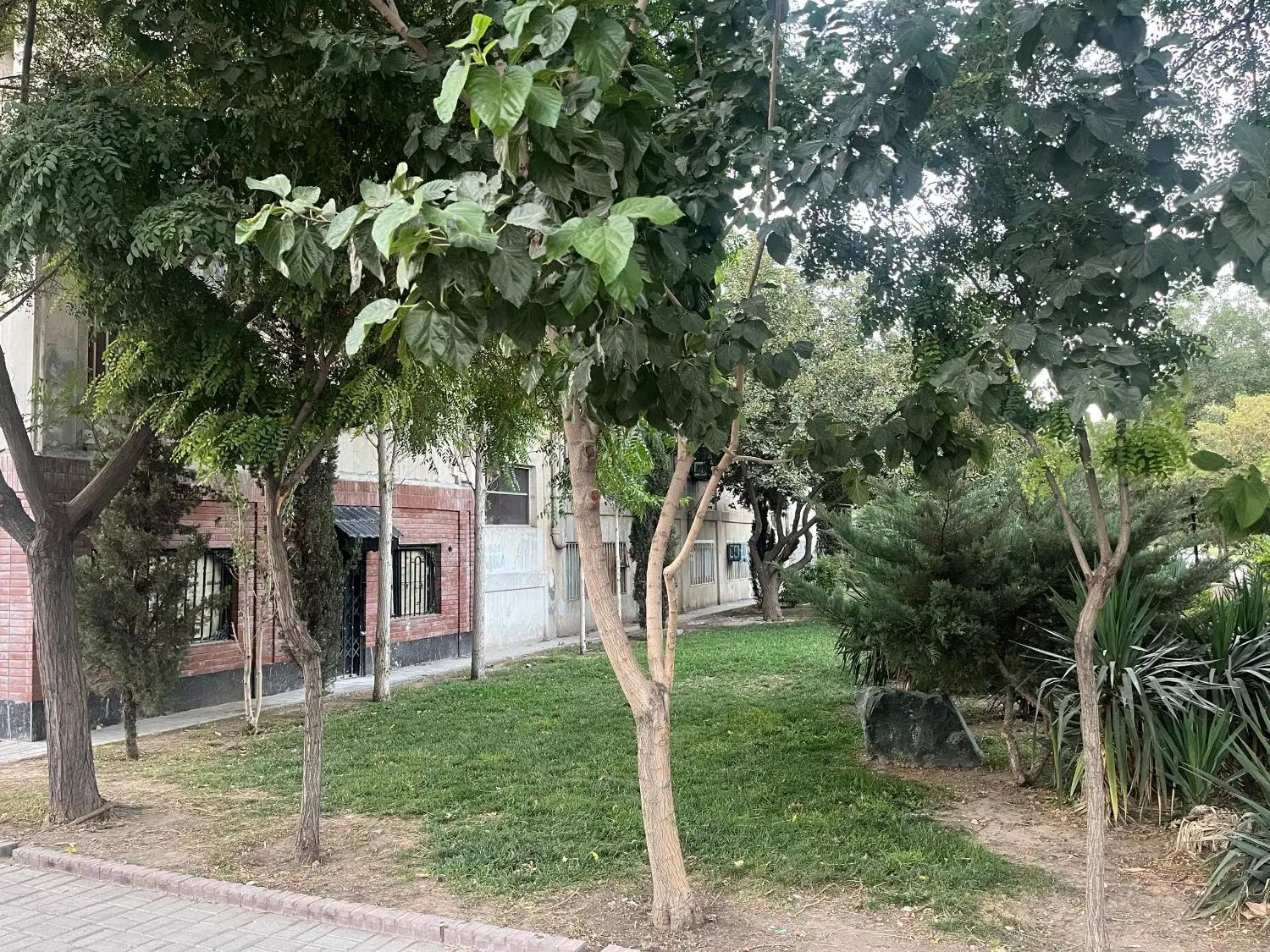 فروش آپارتمان ۶۰ متر 2خواب فاز سه حاشیه اصلی|فروش آپارتمان|مشهد, حجاب (شهرک غرب)|دیوار