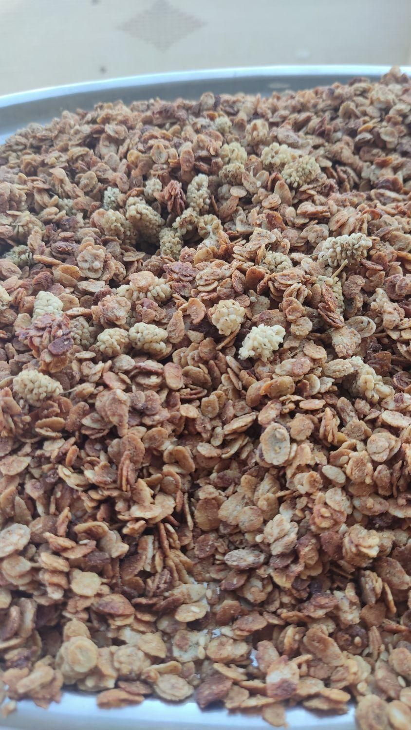 گرانولا|خوردنی و آشامیدنی|اصفهان, وحید|دیوار