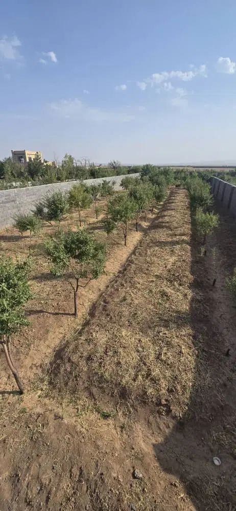 باغچه متری ۱ملیون فاصله یکساعت از تهران با سند|فروش دفتر صنعتی، کشاورزی، تجاری|تهران, گاندی|دیوار