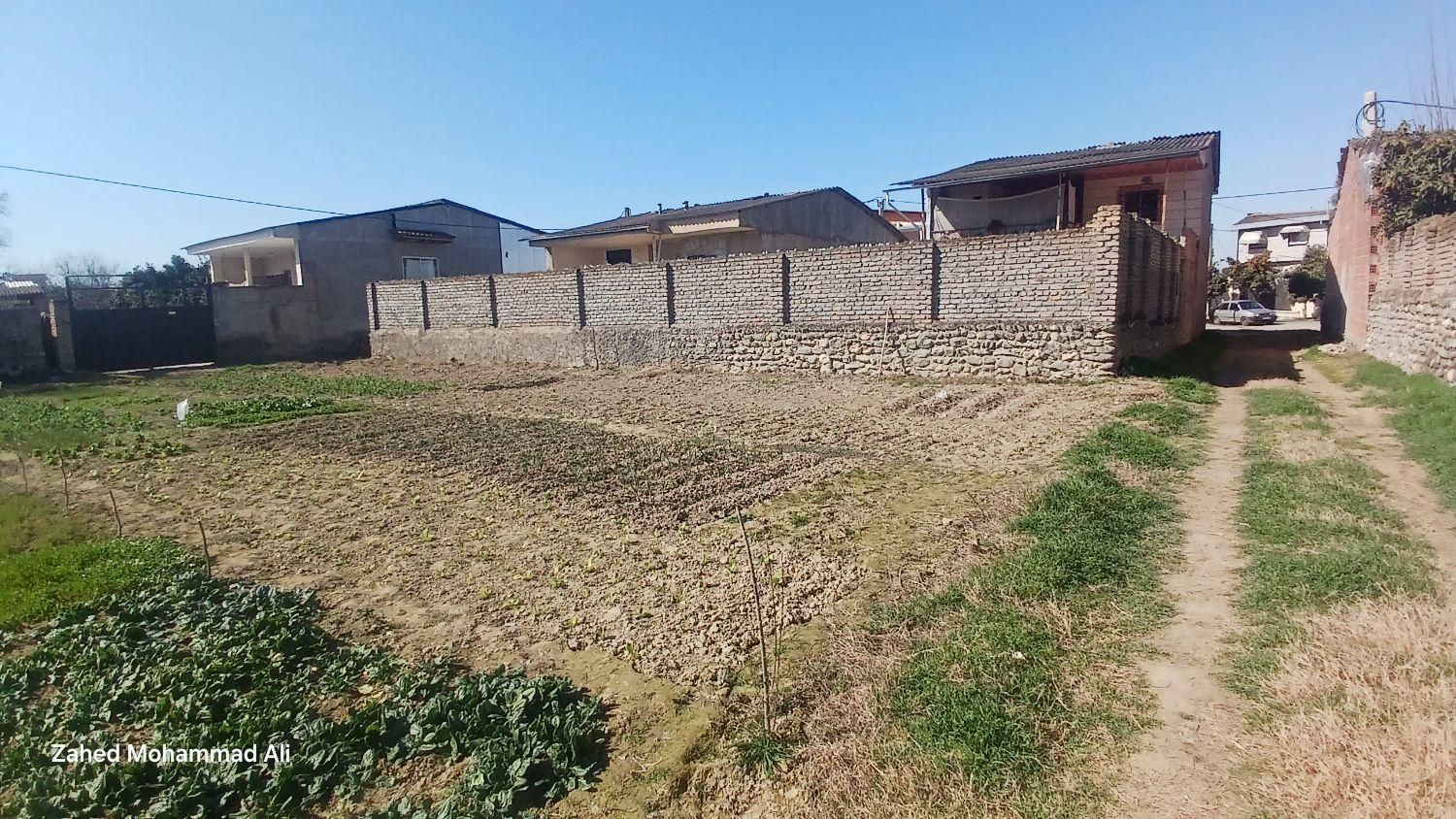 فروش زمین مسکونی ۳۱۰ متری در روستای چهارده|فروش زمین و ملک کلنگی|کردکوی, |دیوار