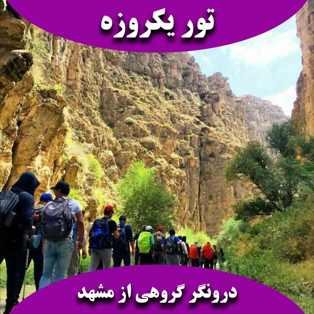 تور گروهی شاد یکروزه / درونگر|تور و چارتر|مشهد, فلسطین|دیوار