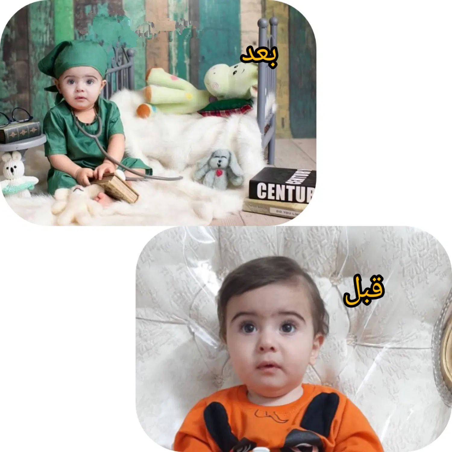 تابلو|تابلو، نقاشی، عکس|اصفهان, باغ فردوس|دیوار