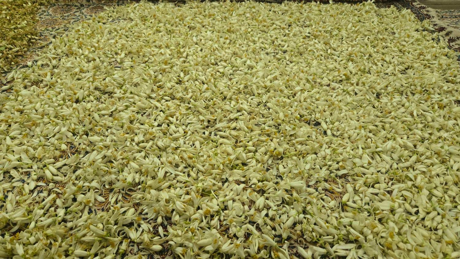 عرقیات خااص خانگی|خوردنی و آشامیدنی|شیراز, گلشن|دیوار