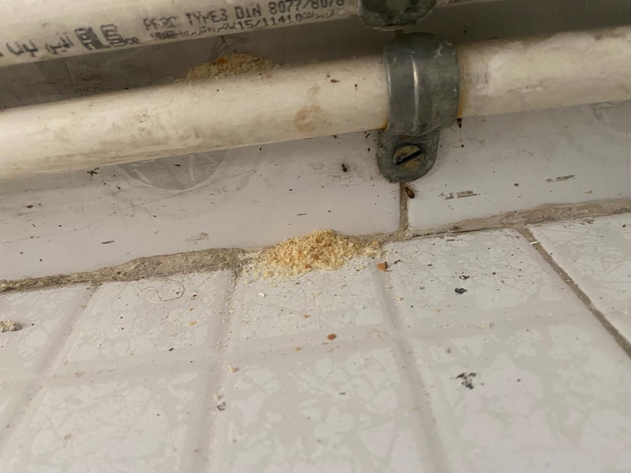 سمپاشی تخصصی تضمینی بامجوز رسمی|خدمات نظافت|فردیس, |دیوار