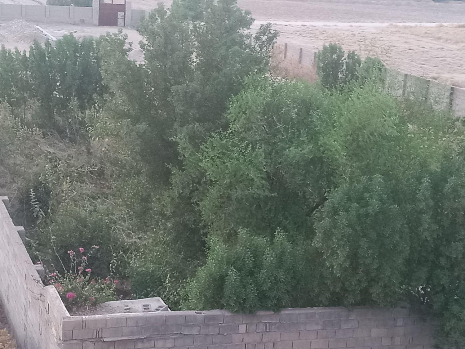 ملک چند منظوره|فروش دفتر صنعتی، کشاورزی، تجاری|دزفول, |دیوار