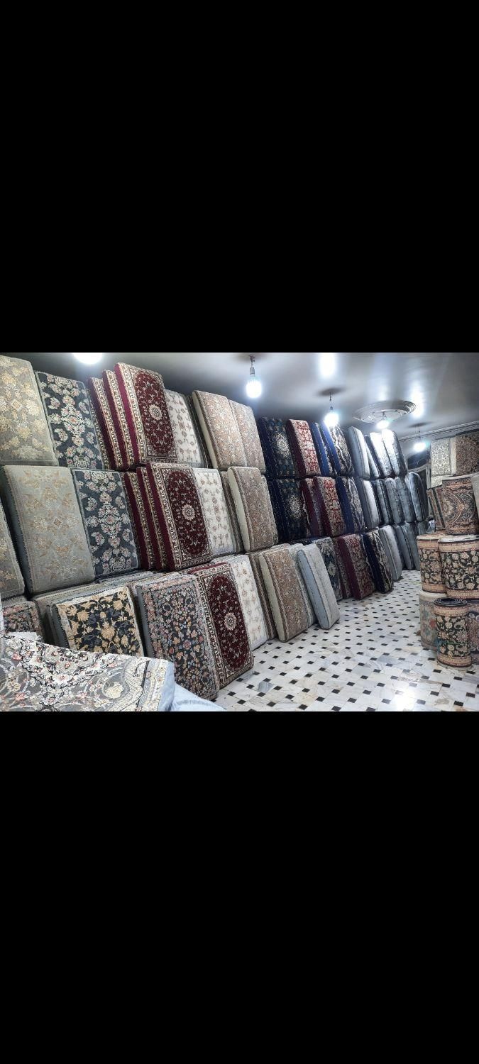 کارینا دودی|پشتی|قم, نیروگاه|دیوار