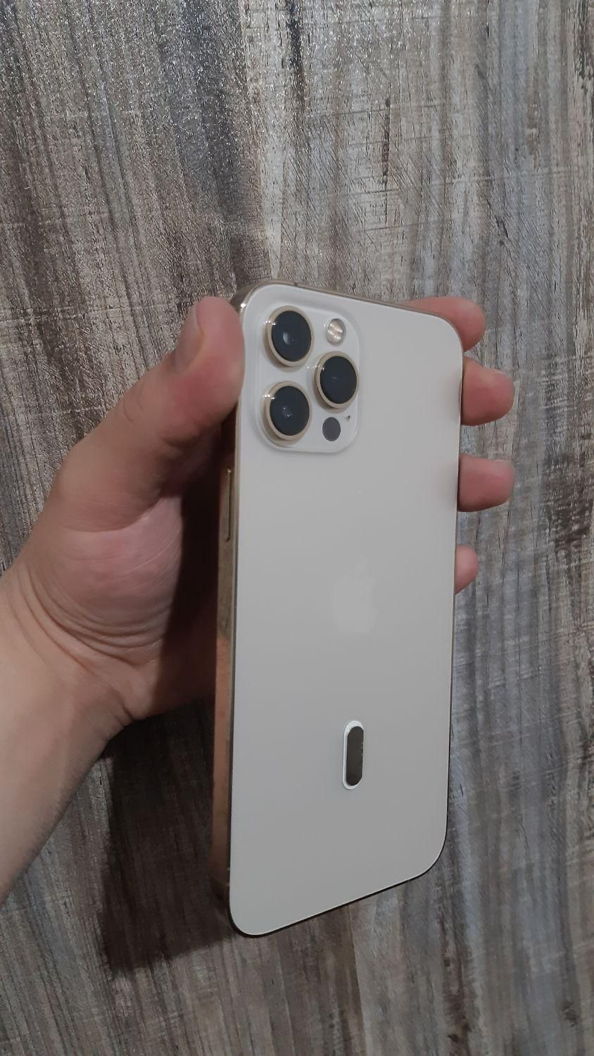 اپل iPhone 12 Pro Max با حافظهٔ ۲۵۶ گیگابایت|موبایل|رشت, گلباغ نماز|دیوار