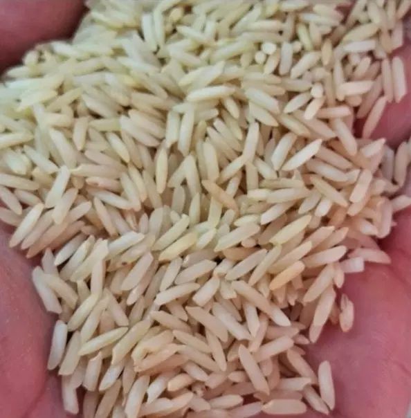 برنج ایرانی دودی (هیزمی سنتی)|خوردنی و آشامیدنی|مشهد, کوی ولیعصر|دیوار