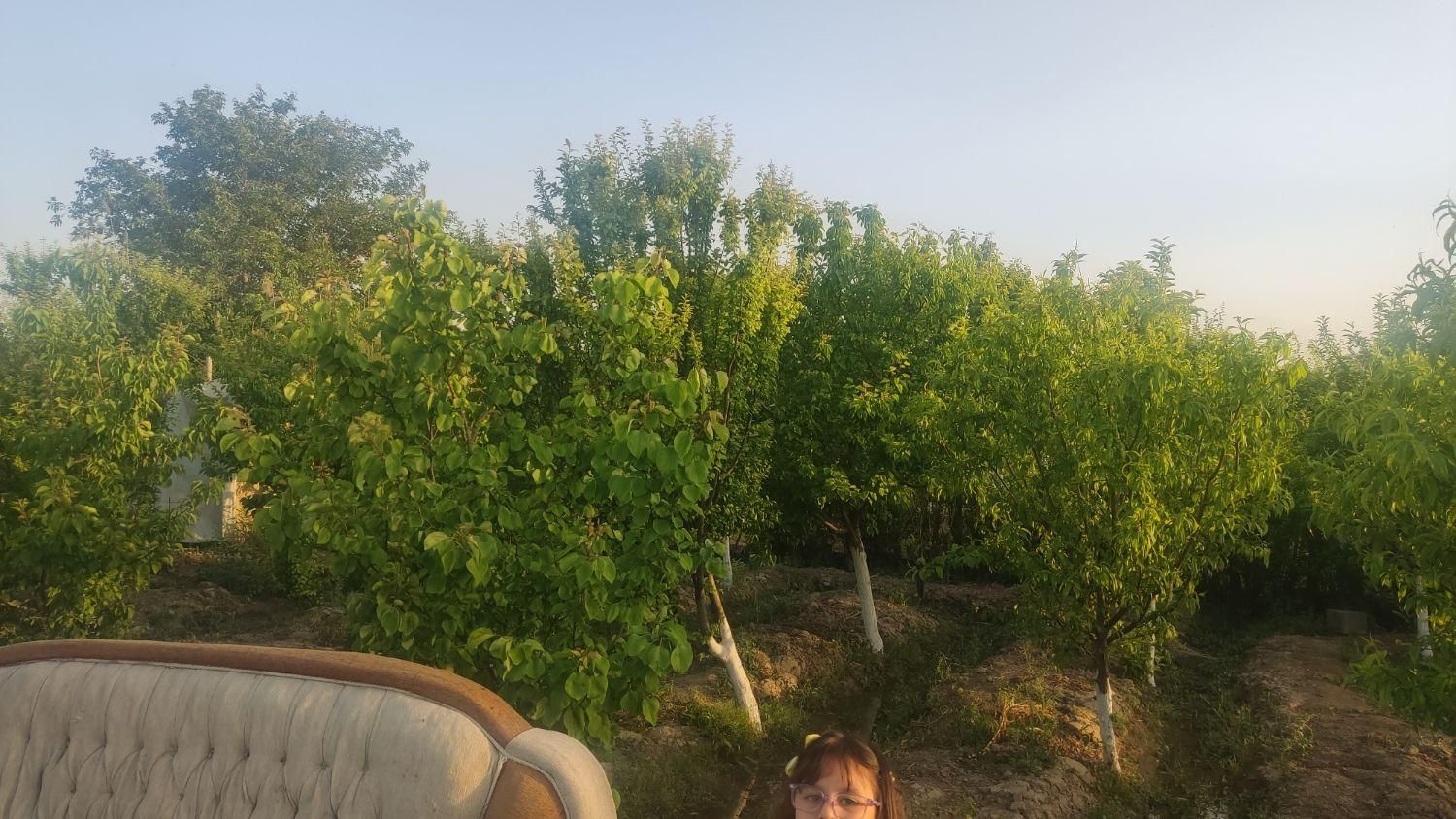 باغچه|فروش زمین و ملک کلنگی|اسلام‌شهر, کاشانک|دیوار