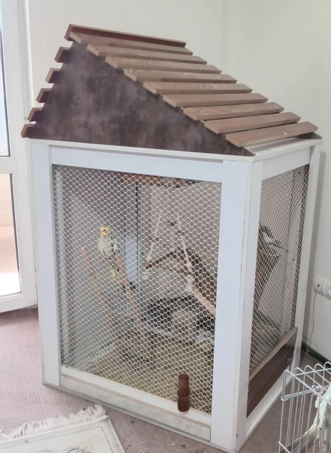 قفس عروس هلندی|لوازم جانبی حیوانات|هشتگرد, شهرک صنعتی هشتگرد|دیوار