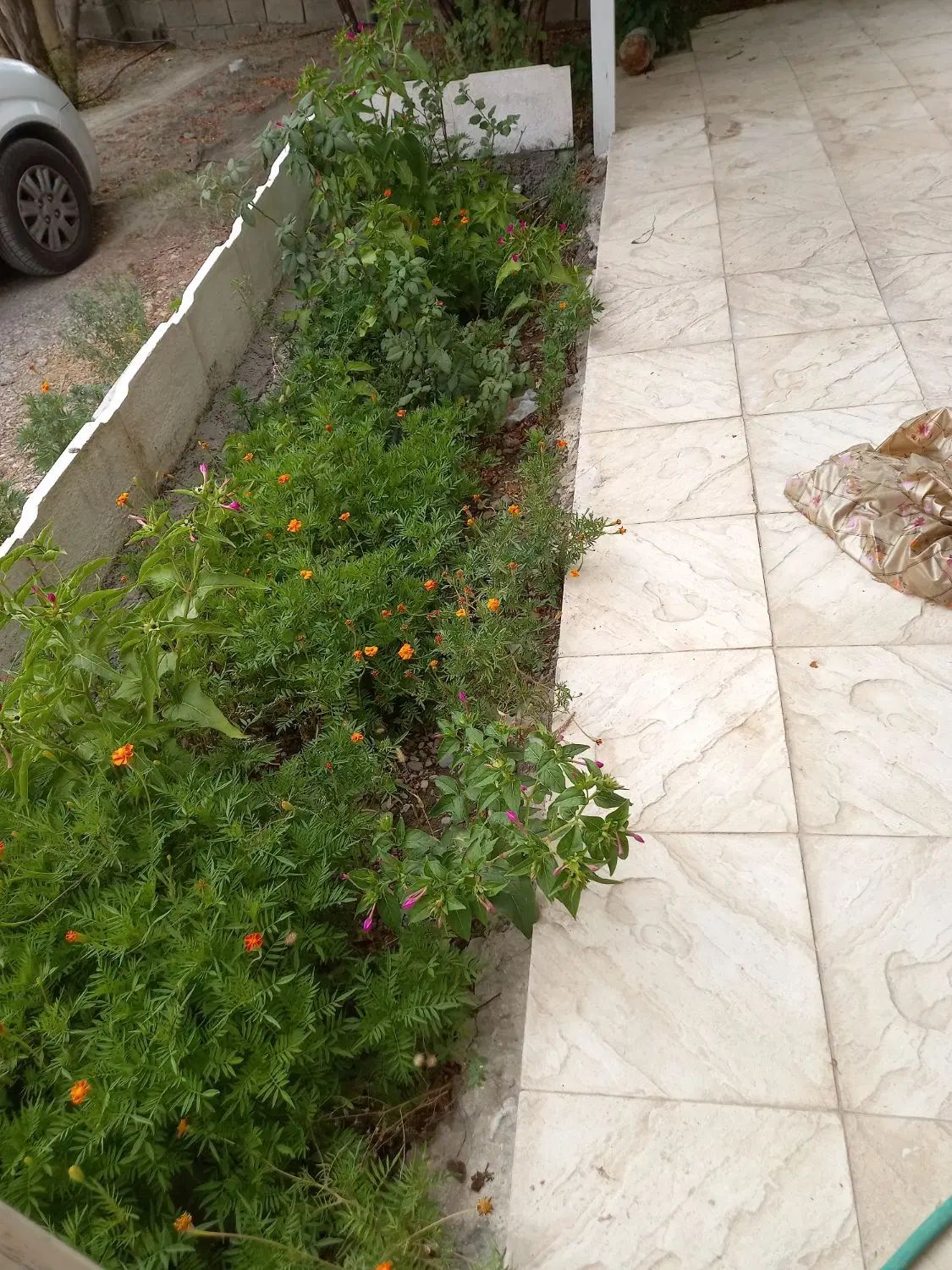 اجاره روزانه ویلا باغ درروستای خبرکرمان|اجارهٔ کوتاه‌مدت ویلا و باغ|خبر, |دیوار
