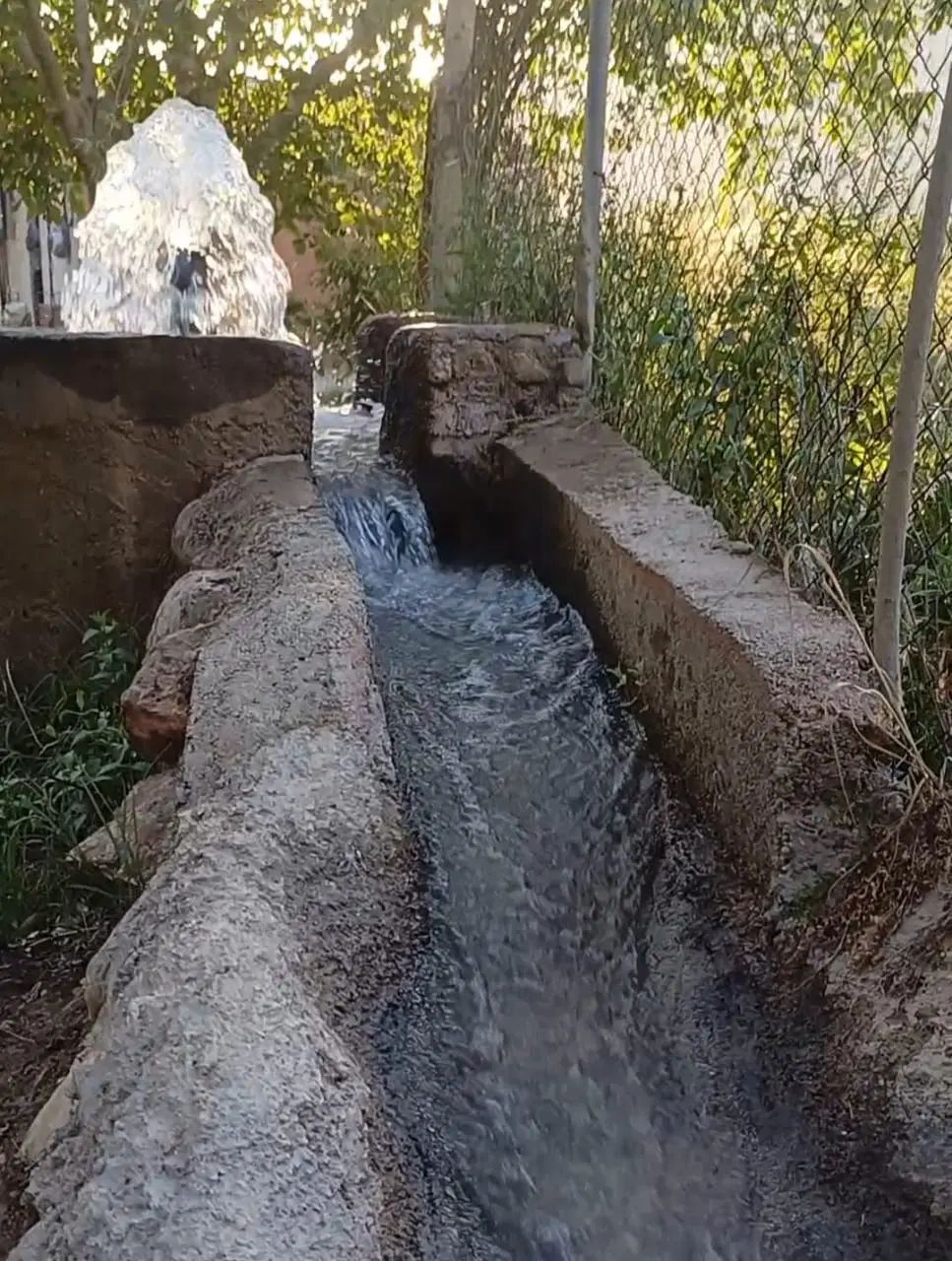 باغ۲۰هزارمتر/غرق درآب کاکارضادرخت۳۰ساله|فروش دفتر صنعتی، کشاورزی، تجاری|الشتر, |دیوار