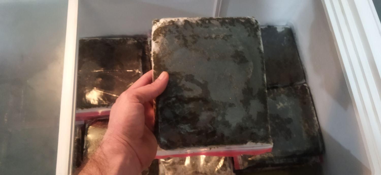 سبزی خورشتی خوزستان رامهرمز|خوردنی و آشامیدنی|فولادشهر, B2|دیوار