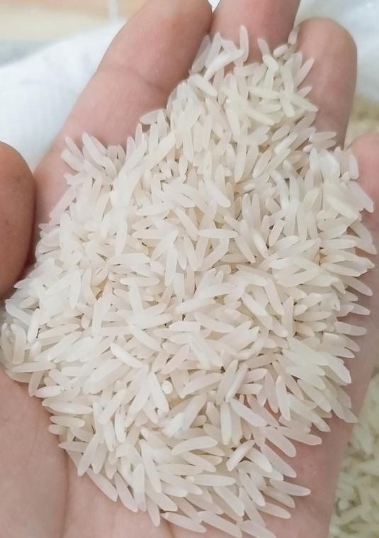 برنج فجر سوزنی درجه یک|خوردنی و آشامیدنی|گنبد کاووس, |دیوار