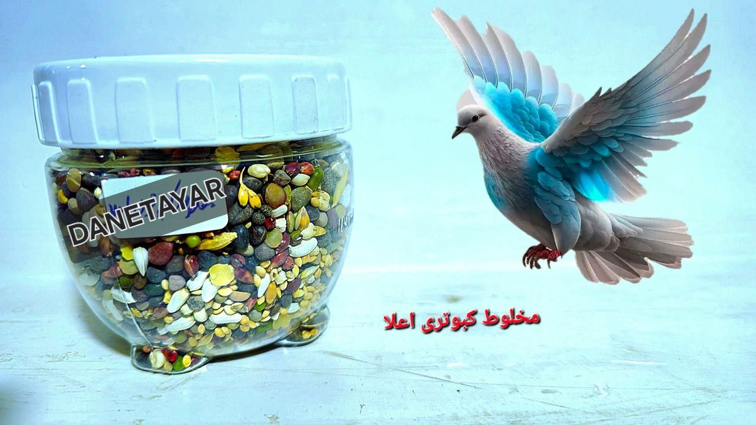 مخلوط کبوتری|لوازم جانبی حیوانات|کرج, آق تپه|دیوار