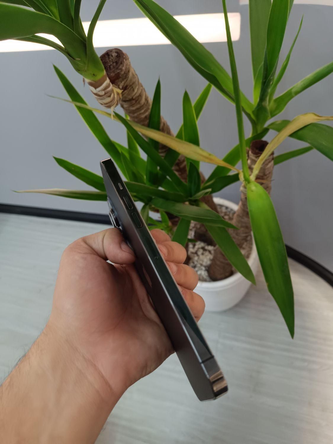 Iphone 13pro max 256g|موبایل|اصفهان, باغ نگاره|دیوار