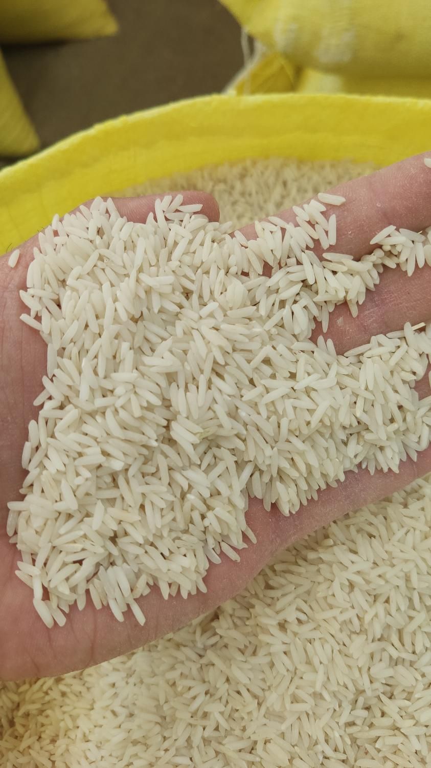 فروش انواع برنج گیلان 8شعبه در کرج و تهران|عمده‌فروشی|نظرآباد, |دیوار