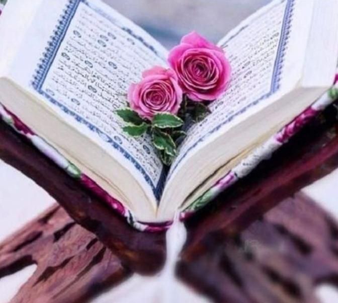 سرکتاب/طالع با قرآن/سرکتاب کیهانی/فال تاروت مجرب|کتاب و مجله مذهبی|اهواز, زیتون کارمندی|دیوار